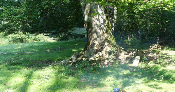 guter Platz_