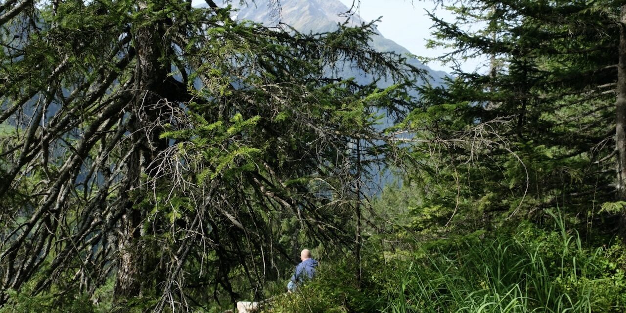 Natur-Dialog-Coaching