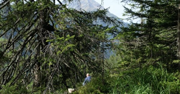 Natur-Dialog-Coaching