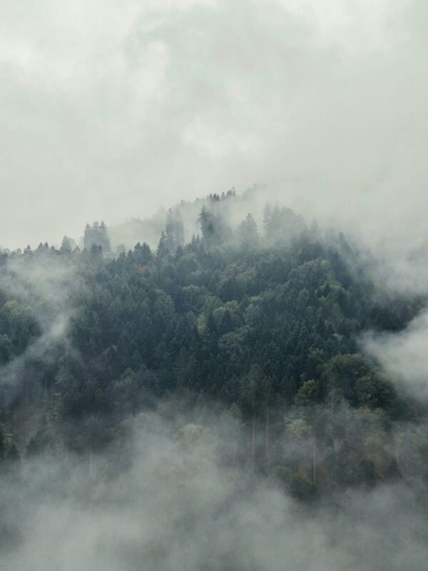 Nebelwelten_Der Herbst legt sich langsam übers Land