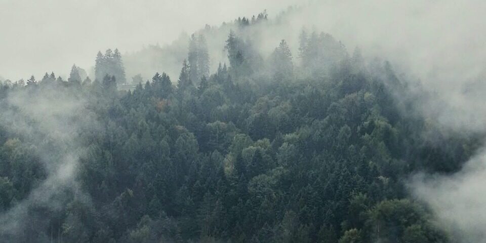 Nebelwelten_Der Herbst legt sich langsam übers Land